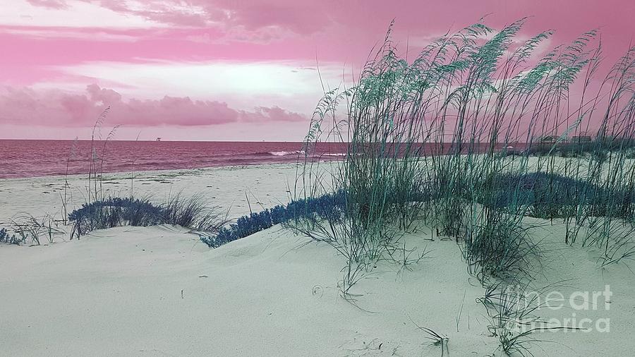 Alternate Beachscape  Photograph by Rachel Hannah