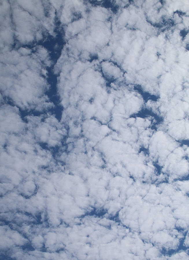 Altocumulus Abstract 1 Photograph by William Selander