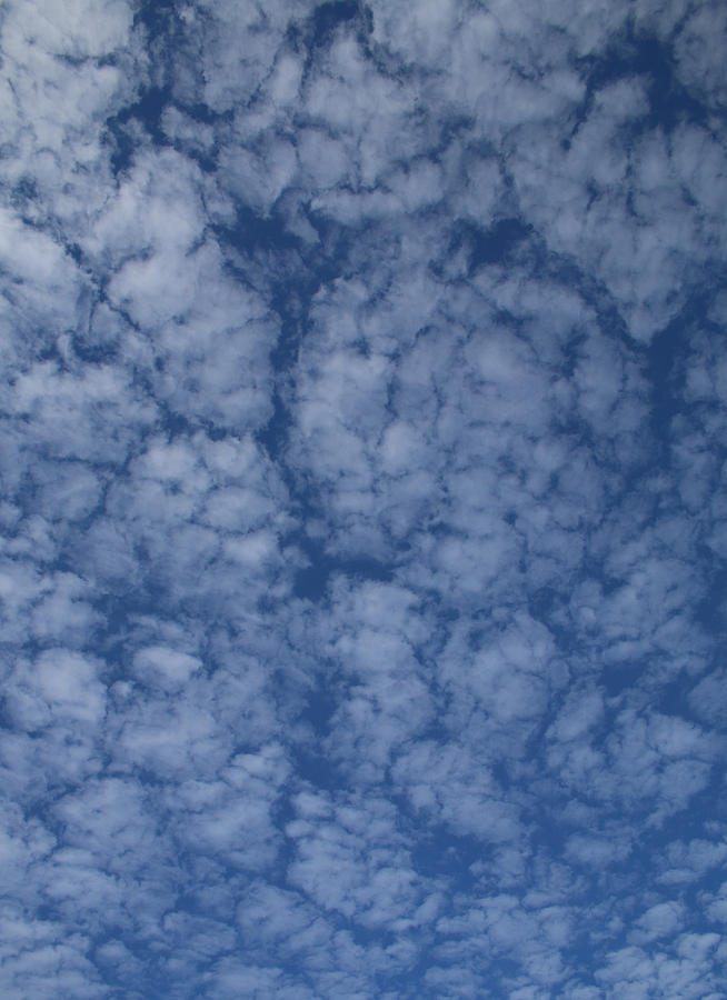 Altocumulus Abstract 2 Photograph by William Selander