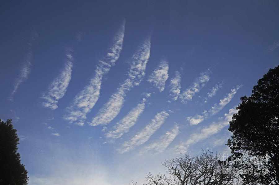 Altocumulus Undulatus Clouds Photograph by Bob and Jean Pollock