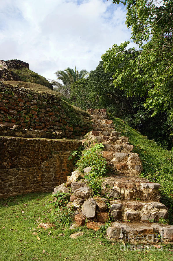 Altun Ha Maya Ruins Photograph by Olga Hamilton