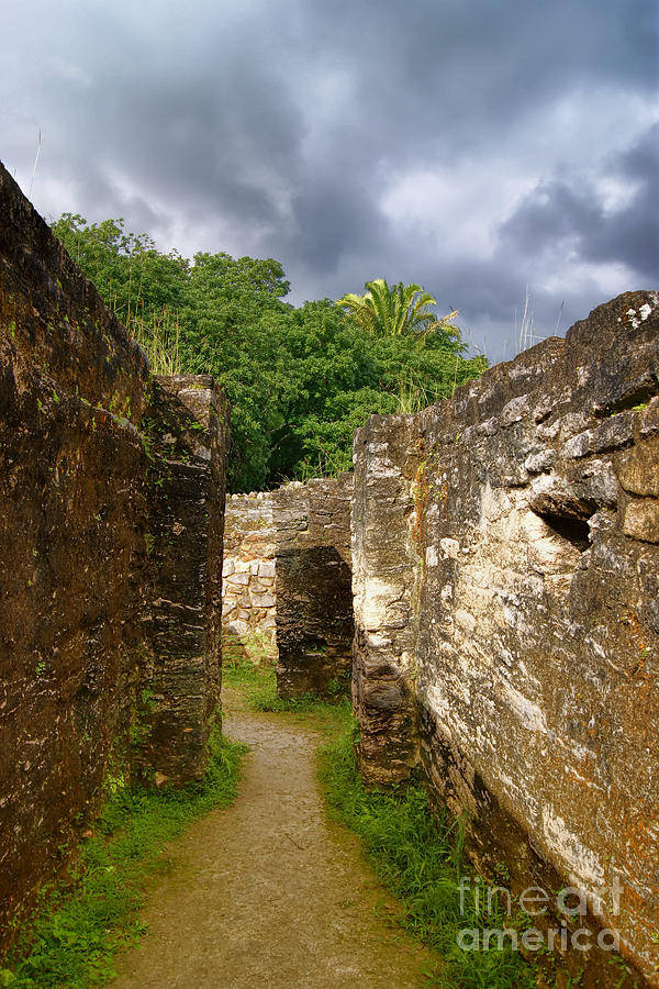 Altun Ha Mayan Ruins Photograph by Olga Hamilton
