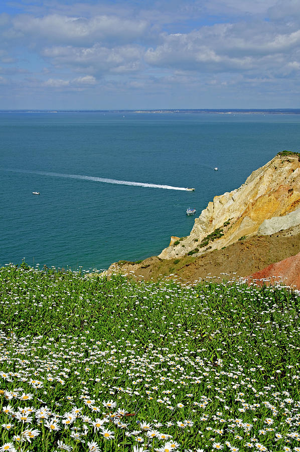 Alum Bay from West High Down Photograph by Rod Johnson