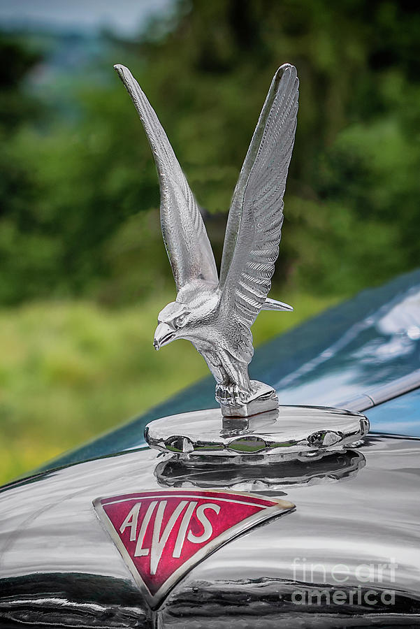 Alvis Car Mascot Photograph by Adrian Evans