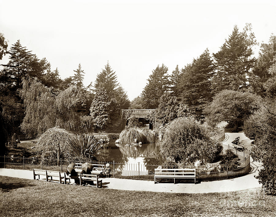 San Francisco Photograph - Alvord Lake Bridge Golden Gate Park circa 1901 by Monterey County Historical Society