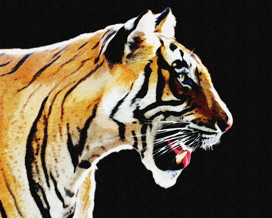 Always Alert - Tiger  Photograph by Manjot Singh Sachdeva