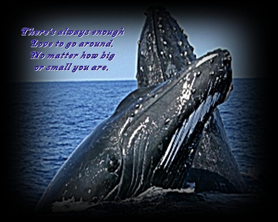 Whale Photograph - Always enough Love by Suzanne Gosselin