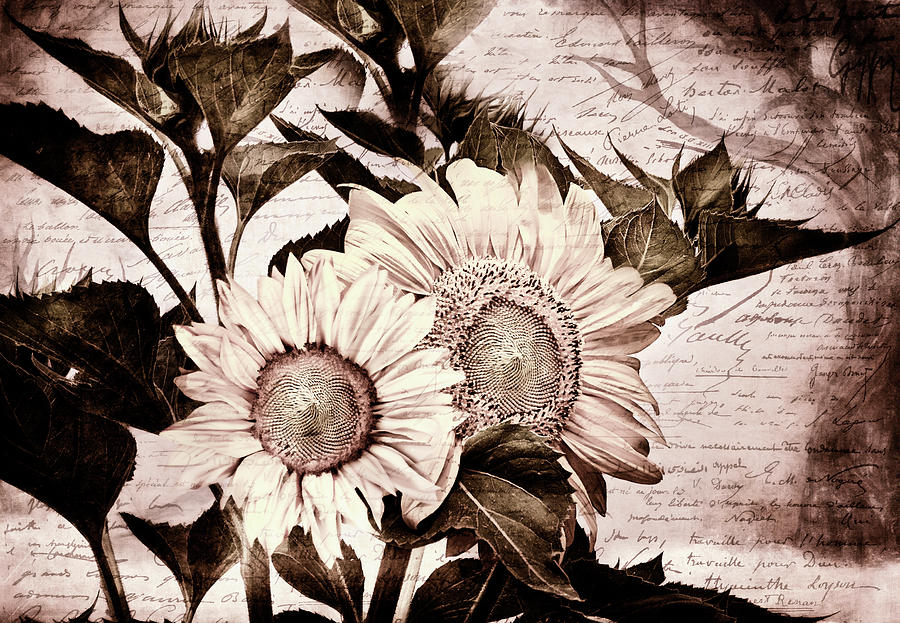 Sunflowers Mixed Media - Always Find Light In The Dark  by Georgiana Romanovna