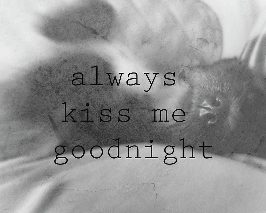 Always Kiss Me Goodnight original photography by Ann Powell Photograph by Ann Powell