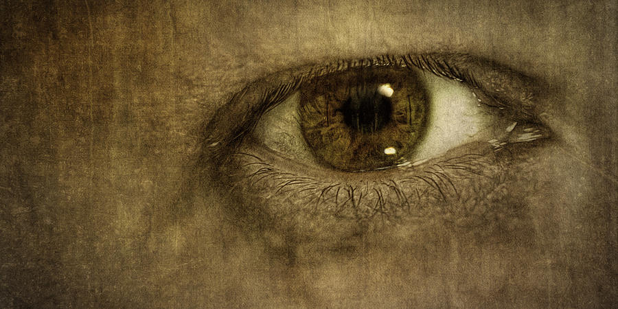 Eye Photograph - Always Watching by Scott Norris