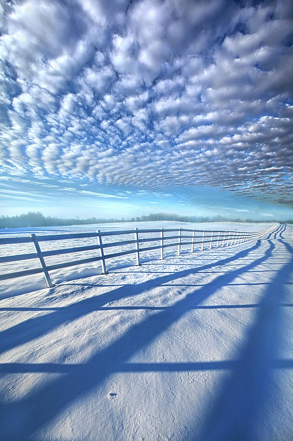 Always Whiter On The Other Side Of The Fence Photograph by Phil Koch