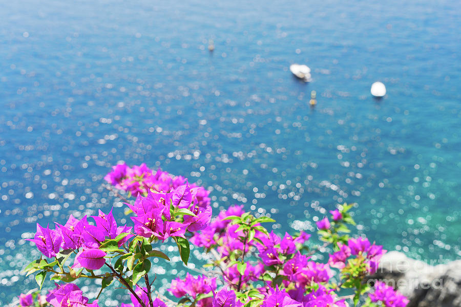 Amalfi Coast Nature Photograph by Anastasy Yarmolovich