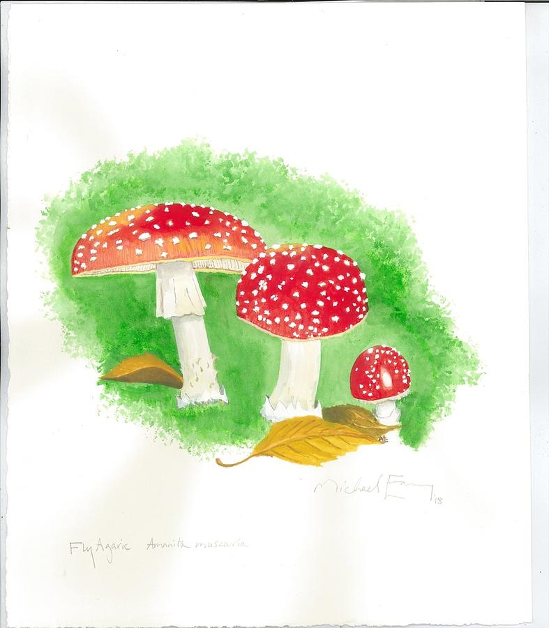Amanita Painting by Michael Earney