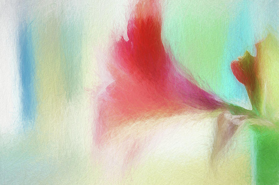 Amaryllis Abstraction Digital Art by Terry Davis