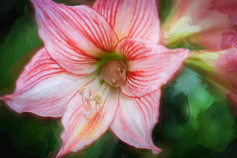 Sweet Lillian Amaryllis and Tree Frog Painted  Photograph by Rich Franco