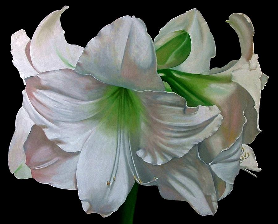 Amaryllis Painting by Doug Strickland