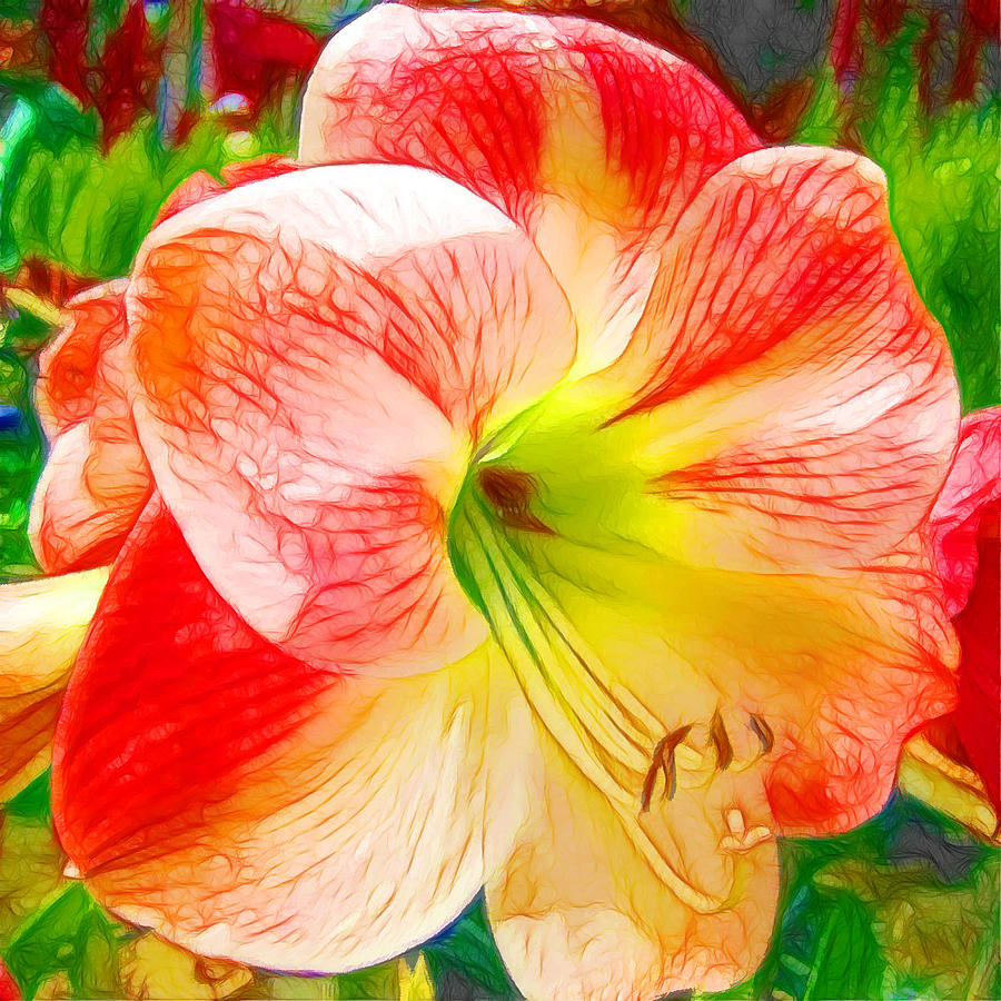 Amaryllis Flower Painting by Jeelan Clark