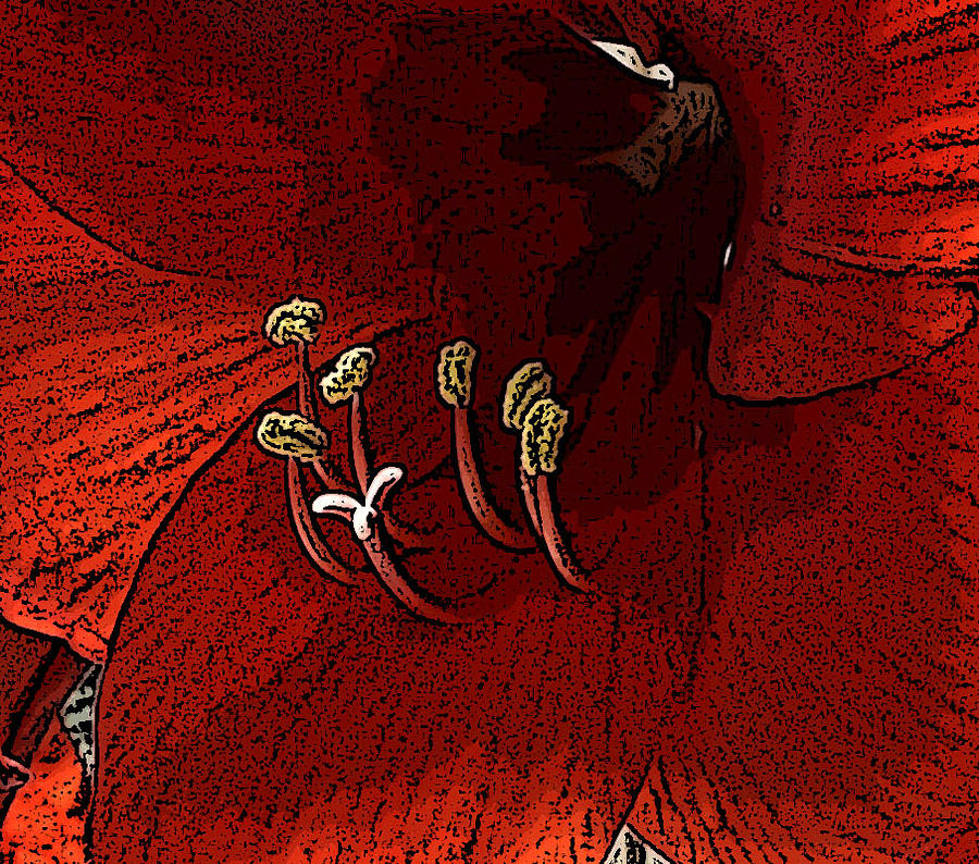 Macro of Amaryllis Flower Posterized Photograph by Linda Brody