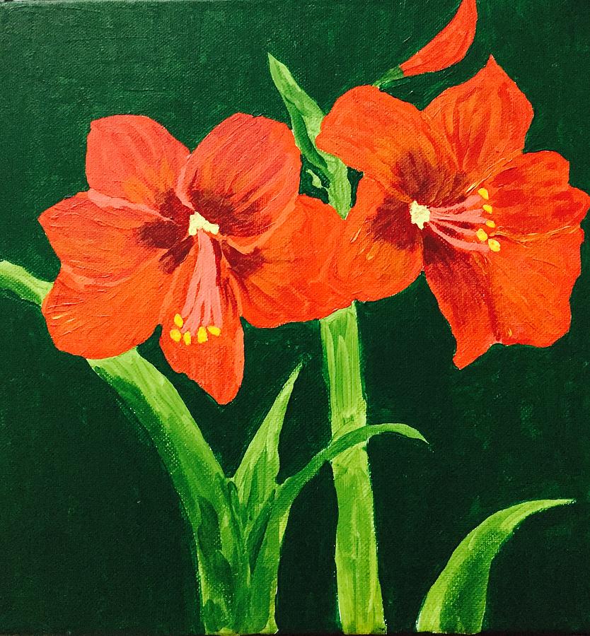 Amaryllis Painting by Jessica Clark - Fine Art America