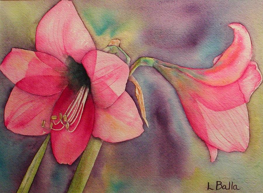 Amaryllis Painting By Laurie Balla