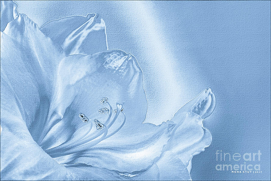 Amaryllis Lily Monotone Fancy Digital Art