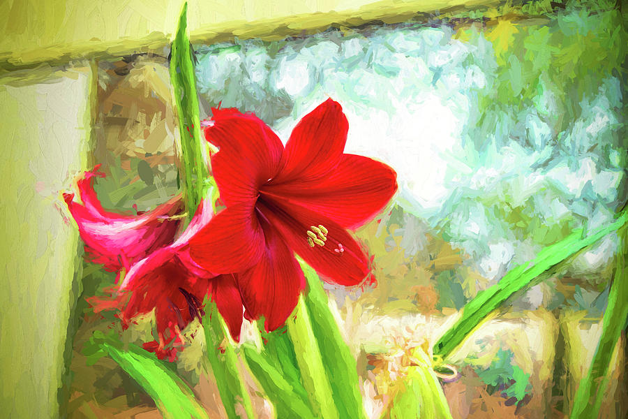 Nature Photograph - Amaryllis On  The Porch by Kay Brewer