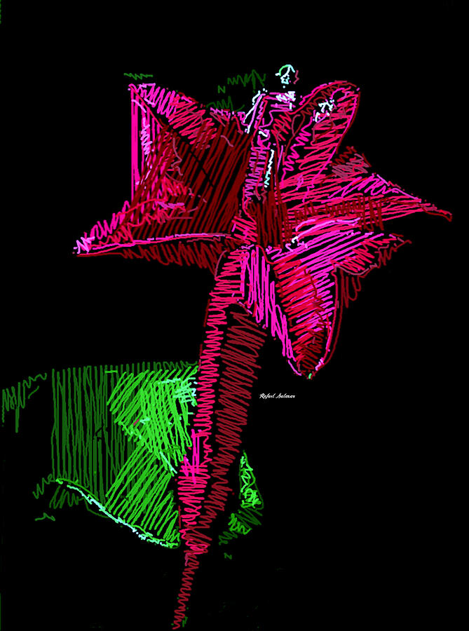 Amaryllis Digital Art by Rafael Salazar