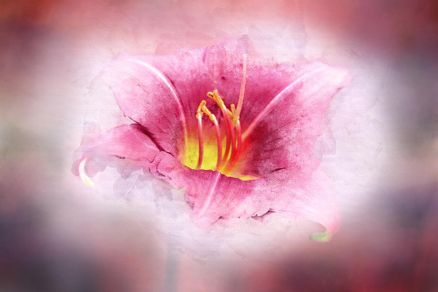 Amaryllis Splash Digital Art by Terry Davis