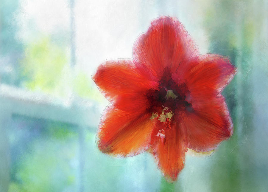 Amaryllis Window Digital Art by Terry Davis