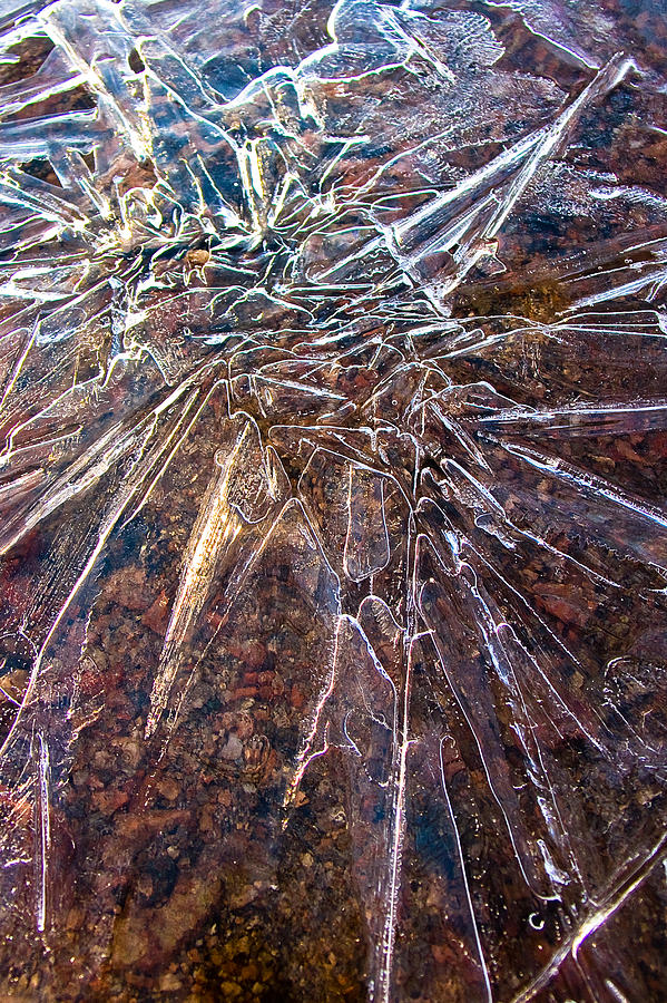 Ice Photograph - Amazement by Marian Kraus Ice Photograph - Amazement by Marian Kraus