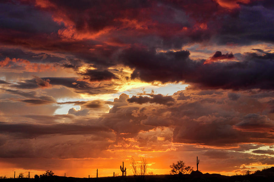 Amazing Arizona  Photograph by Saija Lehtonen