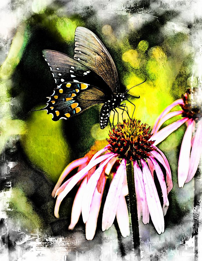 Amazing Butterfly Watercolor 2 Photograph by Marty Koch
