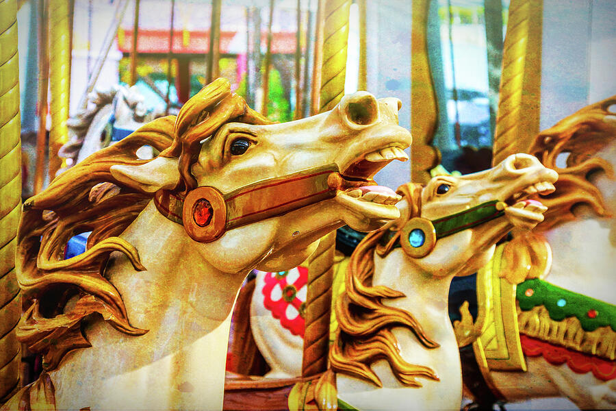 Fantasy Photograph - Amazing Carrousel Horses by Garry Gay
