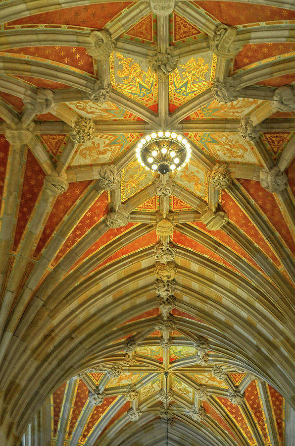 Amazing Ceiling At Yale University Photograph by Dave Mills