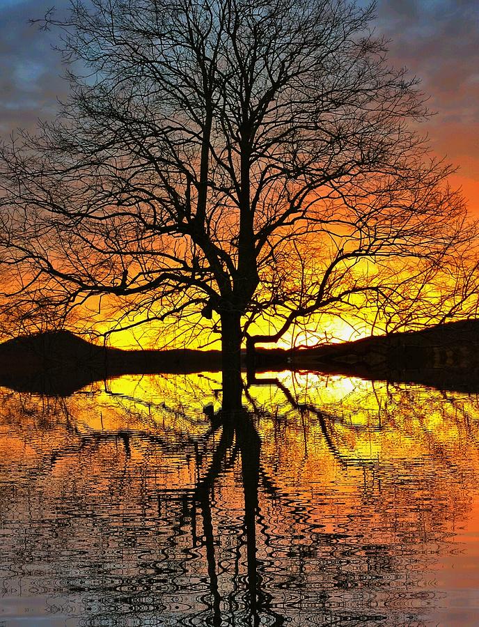 Sunset Photograph - Amazing Glory by Elizabeth  Lynne
