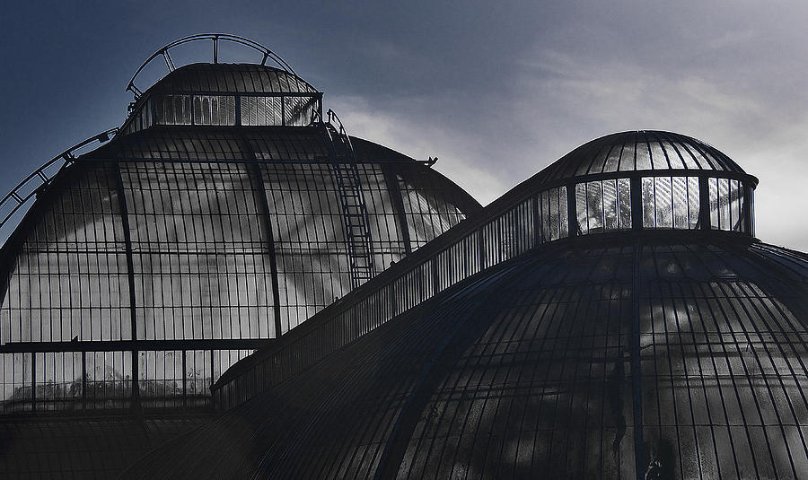 Architecture Photograph - Amazing Greenhouse Structure by David Resnikoff