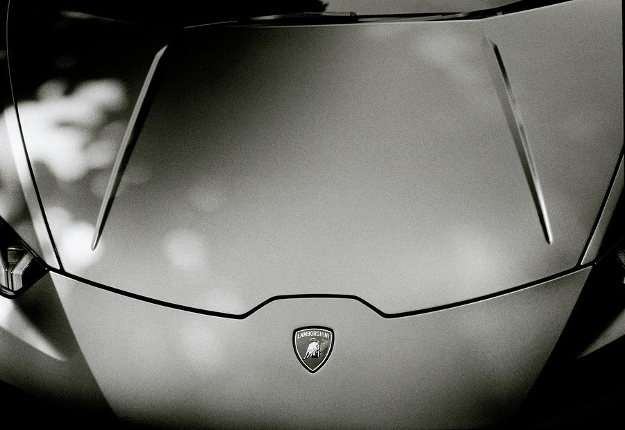 Amazing Lamborghini Photograph by Shaun Higson
