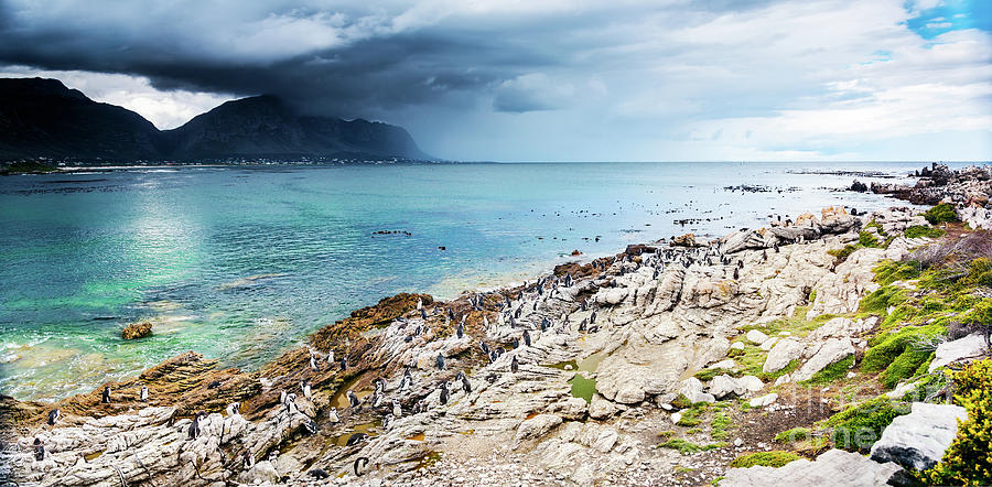 Amazing landscape of Bettys Bay Photograph by Anna Om