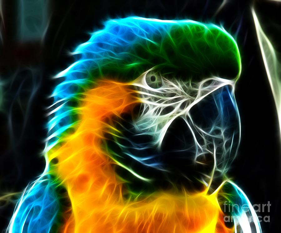 Amazing Parrot Portrait Mixed Media by Pamela Johnson - Fine Art America