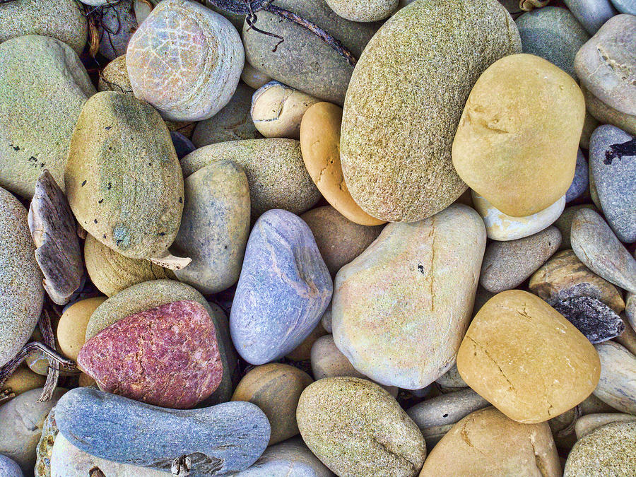 Amazing Pebbles Photograph by Gina Cordova