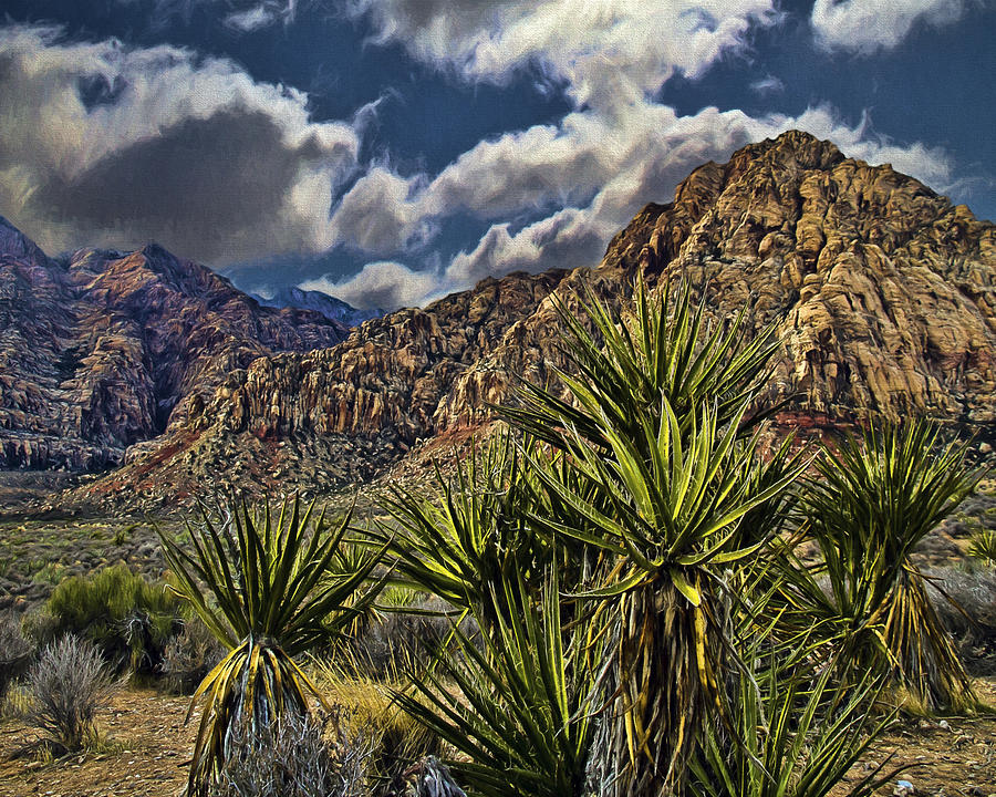 Amazing Red Rock Canyon Nevada Photograph by Rebecca Snyder