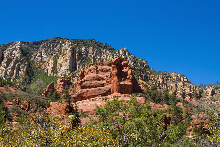 Amazing Red Rocks View 3 Photograph by Bonnie Follett