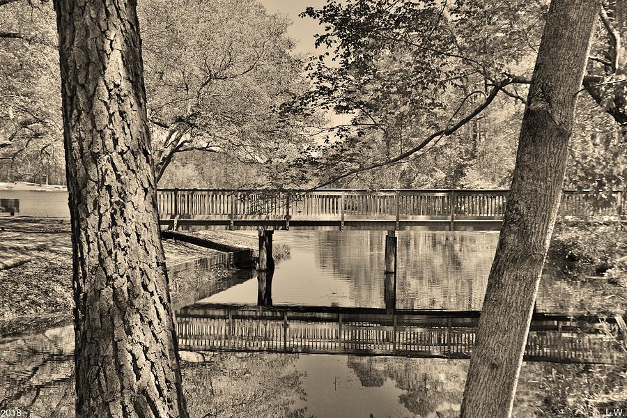 Nature Photograph - Amazing Reflections At Sesquicentennial State Park Black And White by Lisa Wooten