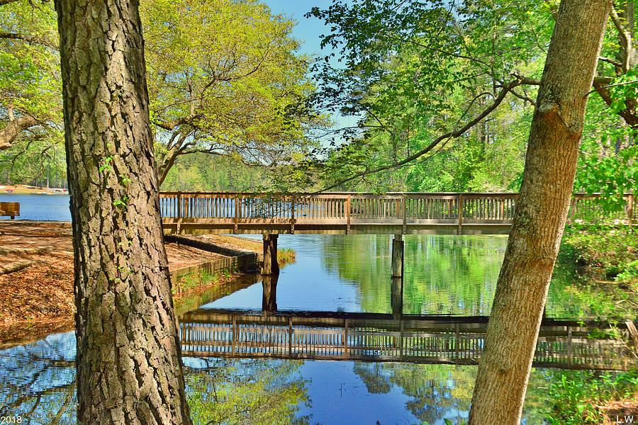 Amazing Reflections At Sesquicentennial State Park Photograph by Lisa Wooten