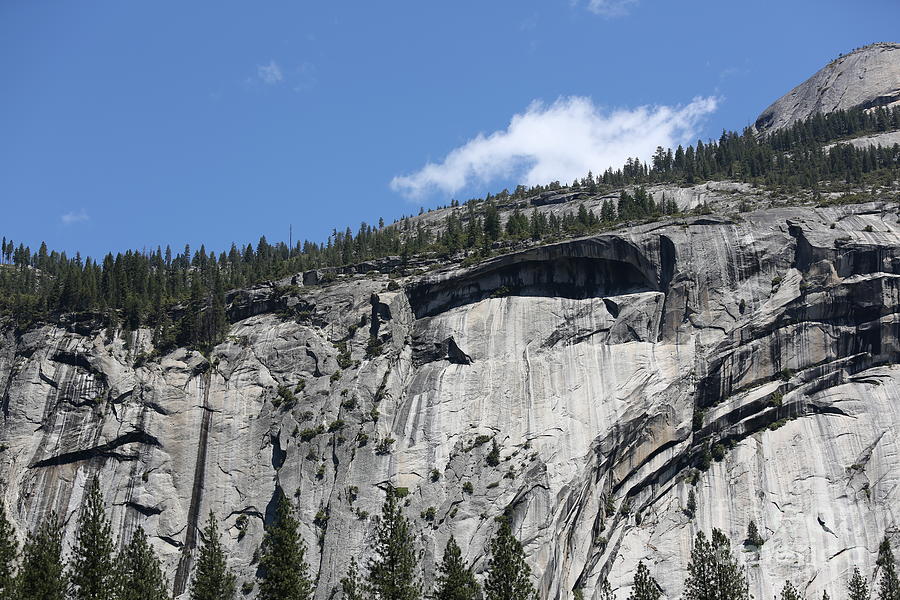Amazing Yosemite  Photograph by Chuck Kuhn