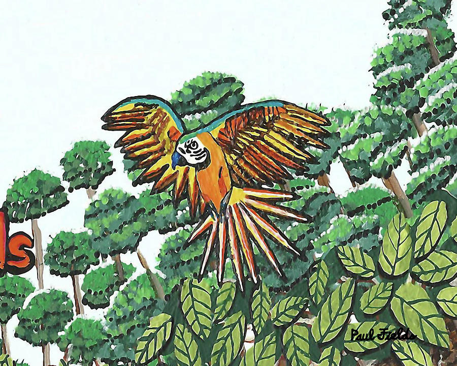 Amazon Bird Painting by Paul Fields