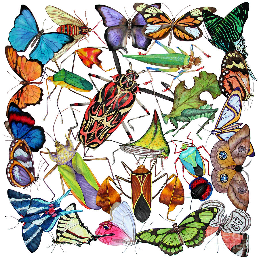 Amazon Insects Painting by Lucy Arnold
