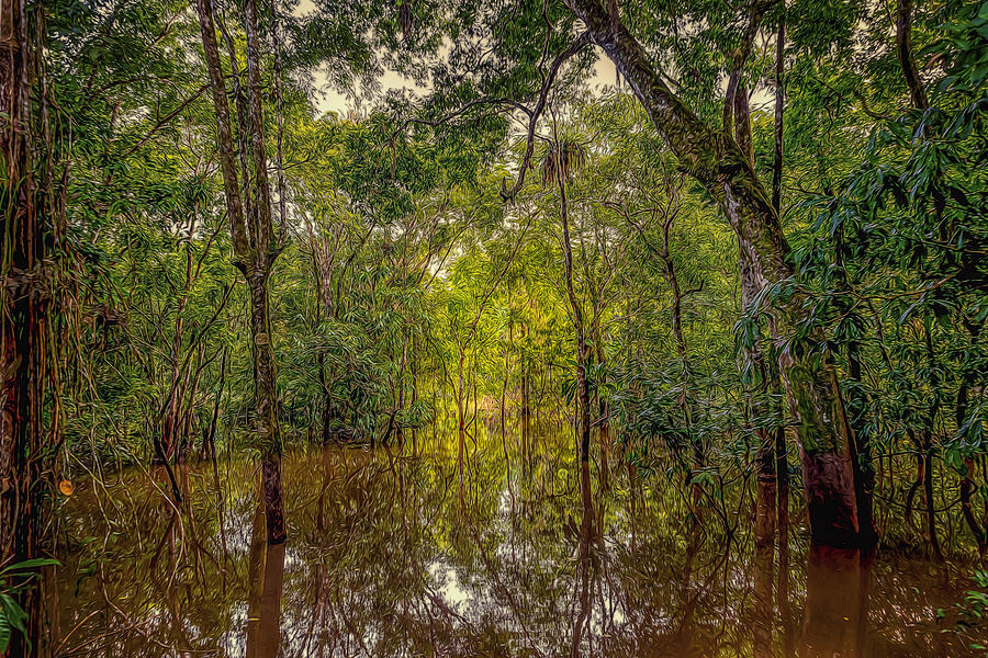 Amazon Jungle Photograph by Maria Coulson