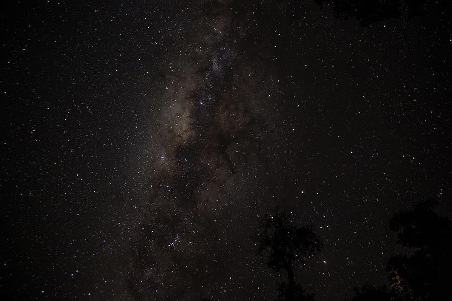 Amazon Night Photograph by Lee Alloway
