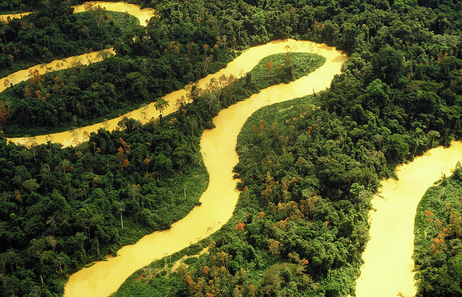 Amazon serpentious river Photograph by BrazilPhotos Prints